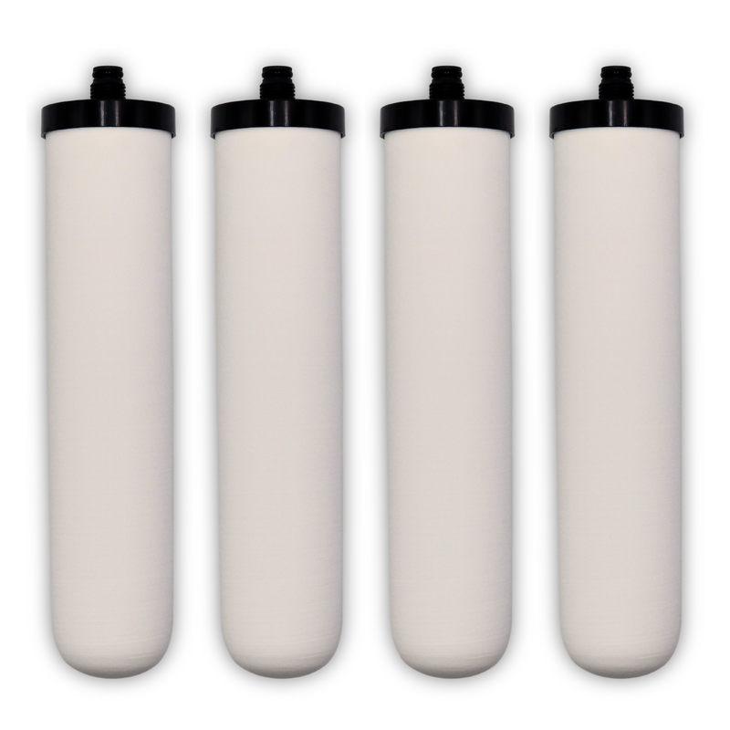 Load image into Gallery viewer, Franke 02 Compatible Water Filter | NEWTON Ultra M15 Mount Drinking Water Filter | for Franke Triflow FRX02 FR9455